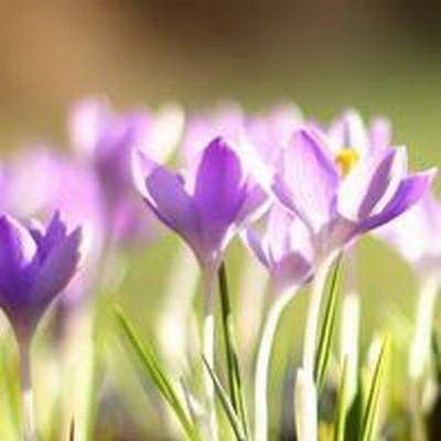 武隆哪个阳宅风水大师看高层住房风水最厉害