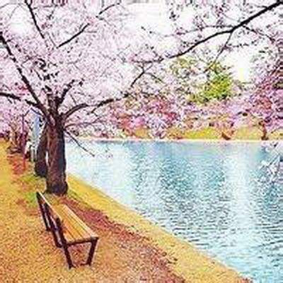 92年11月22日是什么命农历十月二十八出生命运 92年11月22日是什么命农历十月二十八出生命运