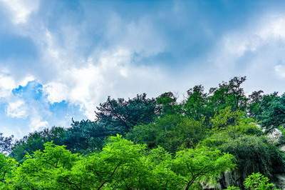 武隆哪个風水命理大師看宠物店風水預測厉害