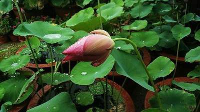 忠县哪个易学風水师看房子装修風水有名些