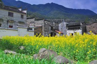 璧山哪个易学风水大师看早餐店风水非常有名气