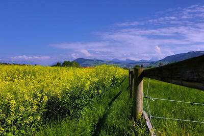 武隆看家庭装修風水哪个風水调理老师更厉害