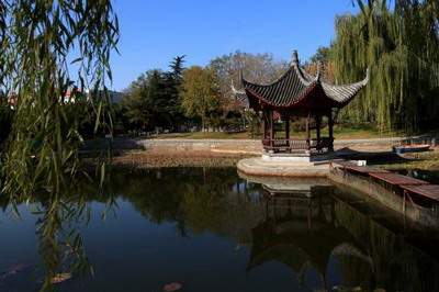 家里盆栽种什么旺风水-陆叁荷·淼淼