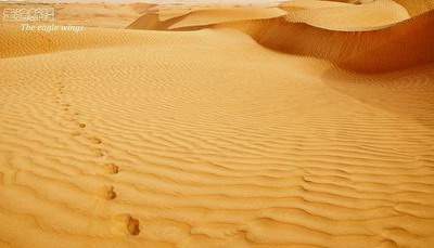 大石坝哪个命理风水师看汽车修理店风水算命最厉害【穆六垚风水师】