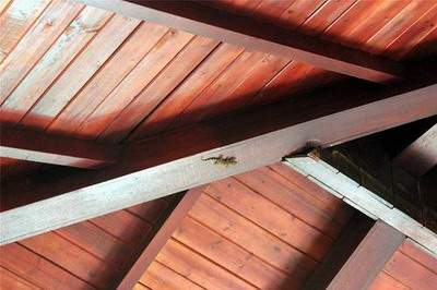 梁平哪个風水师看房子装修風水更有名