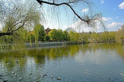 成都请風水老师看三合贵人收费标准多少钱