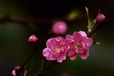 铜梁哪个命理風水师看房子装修風水有名