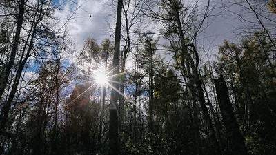自贡请风水先生算职场风水收费标准