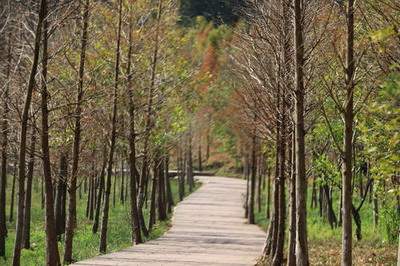 璧山哪个風水命理大師看中餐厅風水出名