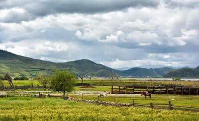 忠县看祖坟風水哪个易学風水大師更出名