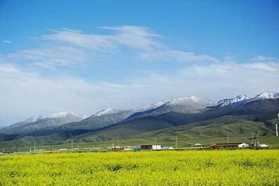 木命旺水命吗?木命人和水命人相结合好不好 木命旺水命吗?木命人和水命人相结合好不好