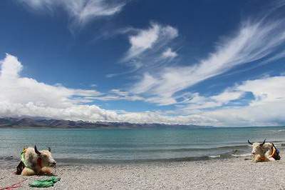 巴中请风水堪舆大师哪个最厉害