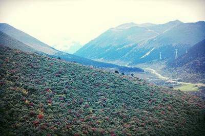 丰都哪个易学風水大師看家里風水