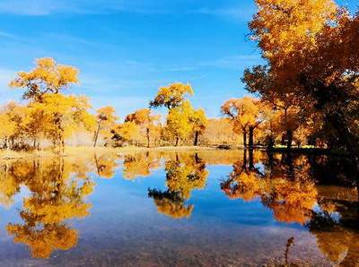 沙发如何选择能够招财[陈柒悦]