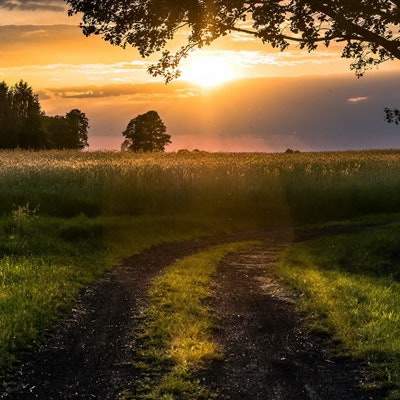 合川风水预测大师哪个算命最准