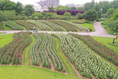 万州哪个風水师看服装店風水有名