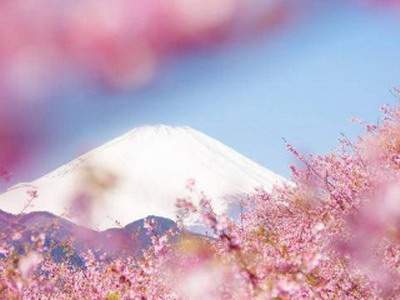 攀枝花请人算装修设计風水收费项目表