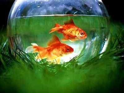 巴中哪有看商店的風水堪舆大師