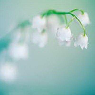 綦江哪个風水堪舆大師看购房風水好