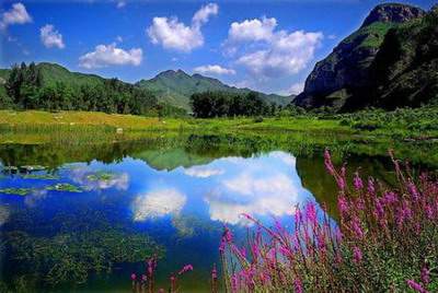 合川哪个風水师傅看餐馆風水出名