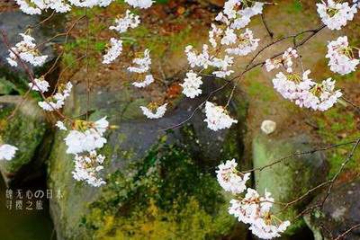 南川哪个風水看酒店風水看得更准