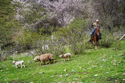 长寿哪个易经風水大師看高层住房風水