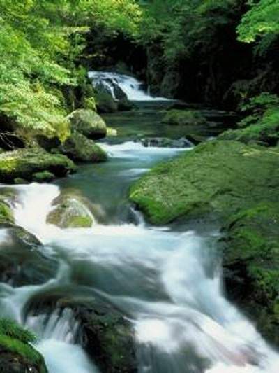 黔江哪个阳宅風水大師看住宅風水口碑