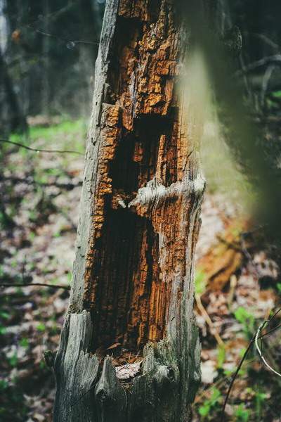 南川哪个風水策划大師看培训学校風水最灵