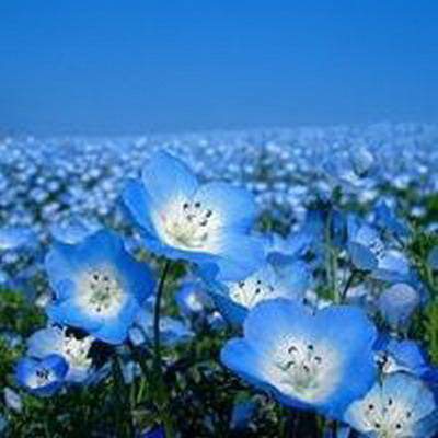 綦江看办公楼風水哪个