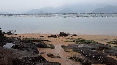 綦江看坟墓風水哪个風水大師看得准