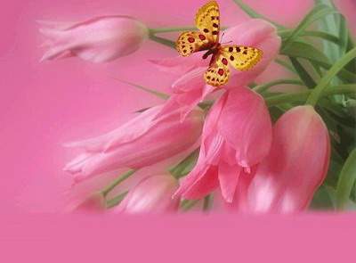 永川哪个易学風水师看厂房風水算命最准