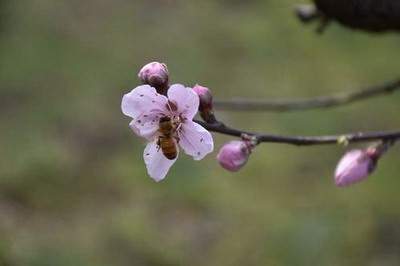 正兴镇哪个阳宅风水大师看美发店风水更厉害《重庆乾缘堂陈叁悟》