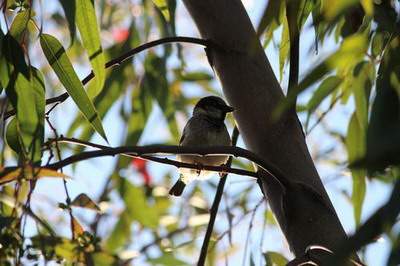 江津哪个周易风水师看公寓风水看得好
