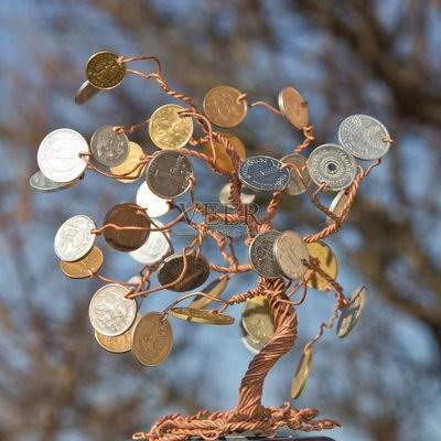 黔江哪个風水預測大師看宠物風水有名些