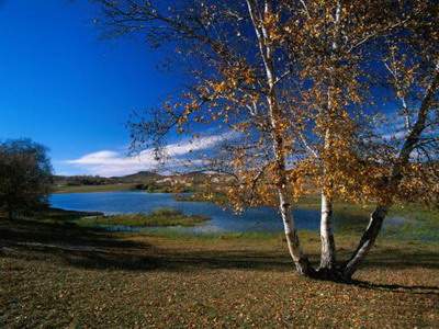 江津哪个風水策划大師看老宅風水好