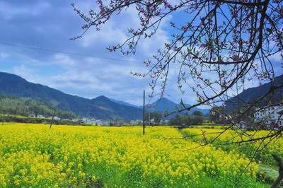 石宝镇哪个易学風水师看居家風水【乾缘堂陆叁荷（淼淼）風水老师】