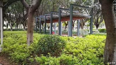 南川哪个風水调理老师看学校風水