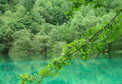 涪陵看坟地風水哪个風水调理老师最厉害
