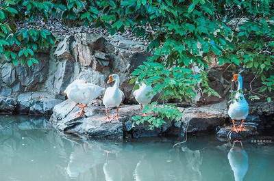 黔江風水老师哪个看得准
