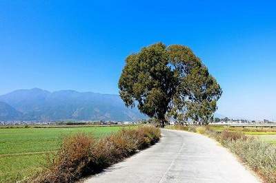 长寿哪个風水命理大師看酒吧風水