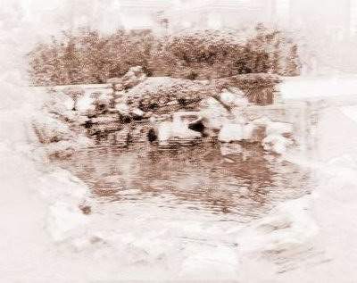 合川哪个周易風水师看培训机构風水