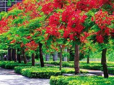 合川哪个風水老师看建房子風水