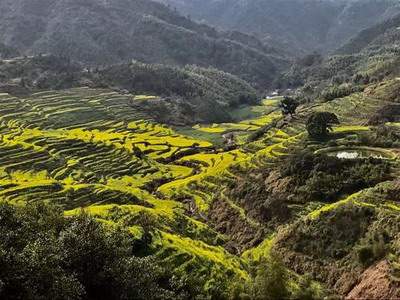 江津哪个風水师看别墅装修風水看得准