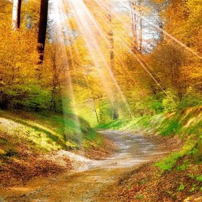 江津哪个風水命理大師看学校風水厉害