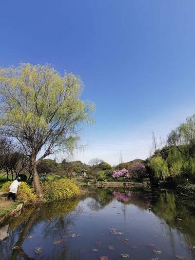 合川哪个風水师傅看农村坟地風水有名