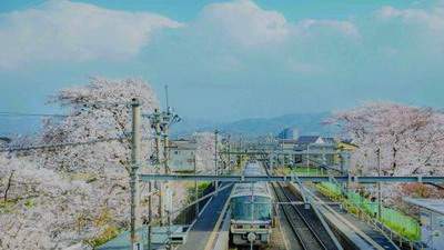 合川哪个風水师傅看农村坟地風水有名