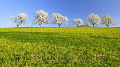 永川哪个風水改运大師看铺面風水更有名