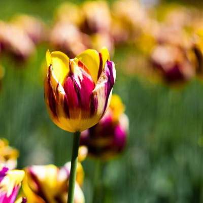 綦江看店面風水哪个堪舆大師