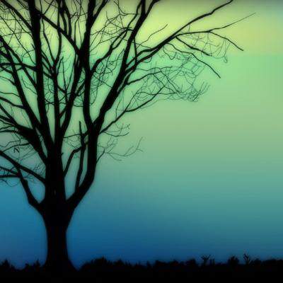 南川看店铺風水哪个堪舆大師看得好