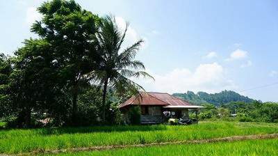 綦江哪个周易風水师看网吧風水更出名